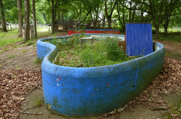 Deer Forest - 2015 Photos From Mlive (newer photo)